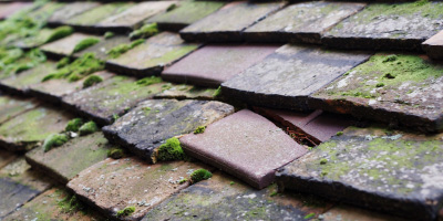 Buckinghamshire roof repair costs